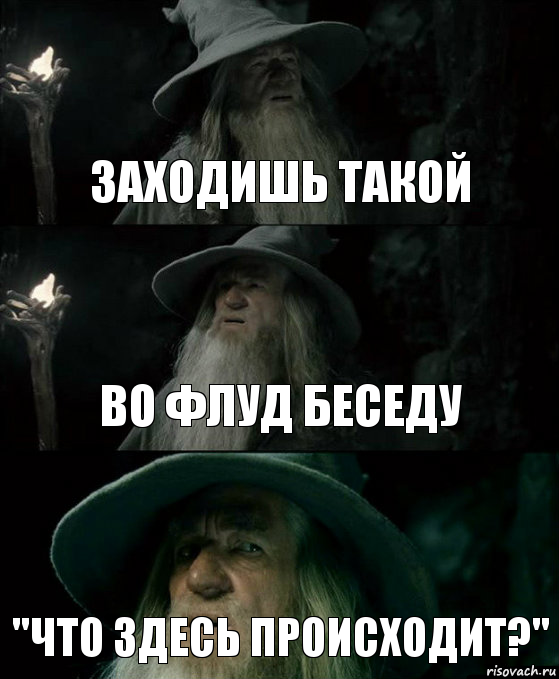 Заходишь такой во флуд беседу "Что здесь происходит?"