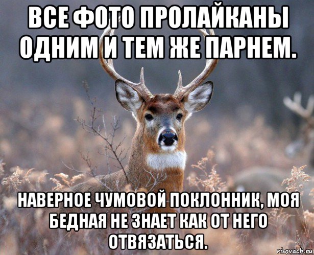 все фото пролайканы одним и тем же парнем. наверное чумовой поклонник, моя бедная не знает как от него отвязаться.