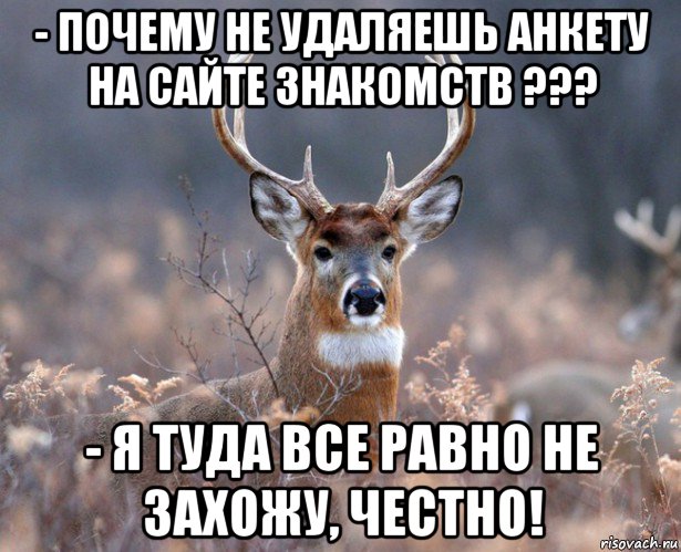 - почему не удаляешь анкету на сайте знакомств ??? - я туда все равно не захожу, честно!, Мем   Наивный олень