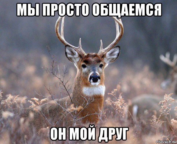 мы просто общаемся он мой друг