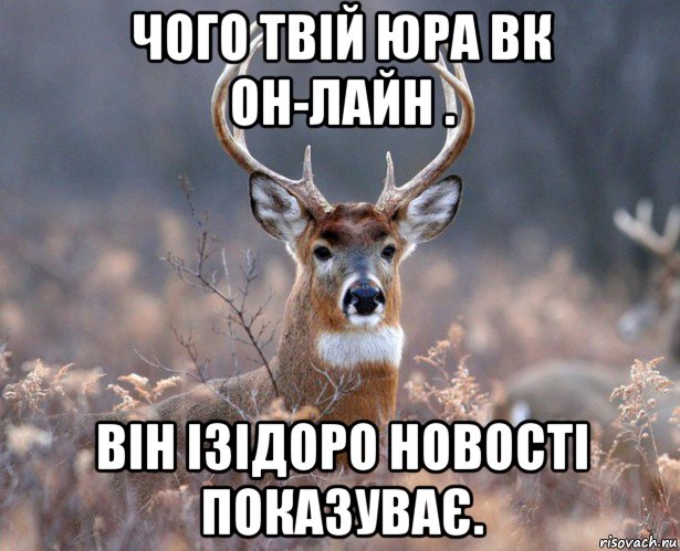 чого твій юра вк он-лайн . він ізідоро новості показуває.