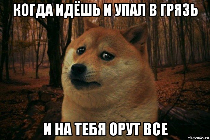 когда идёшь и упал в грязь и на тебя орут все, Мем SAD DOGE