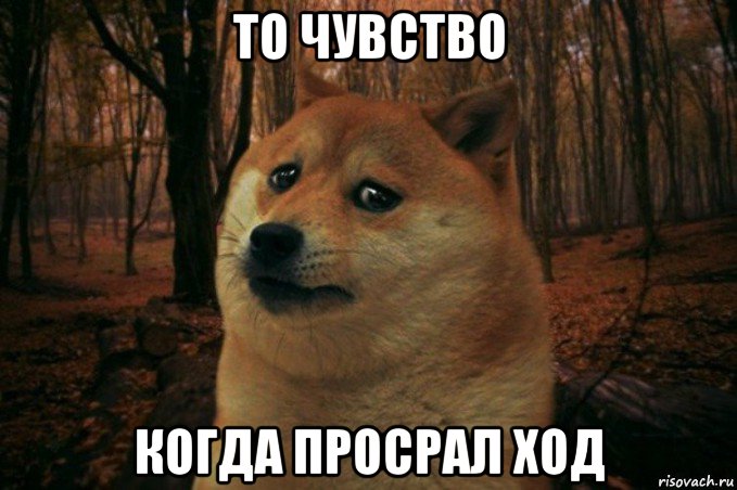 то чувство когда просрал ход, Мем SAD DOGE