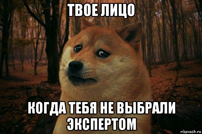 твое лицо когда тебя не выбрали экспертом, Мем SAD DOGE