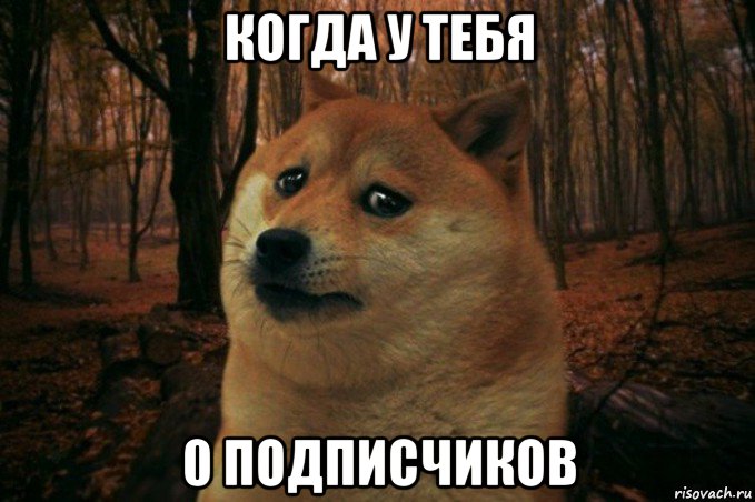 когда у тебя 0 подписчиков, Мем SAD DOGE