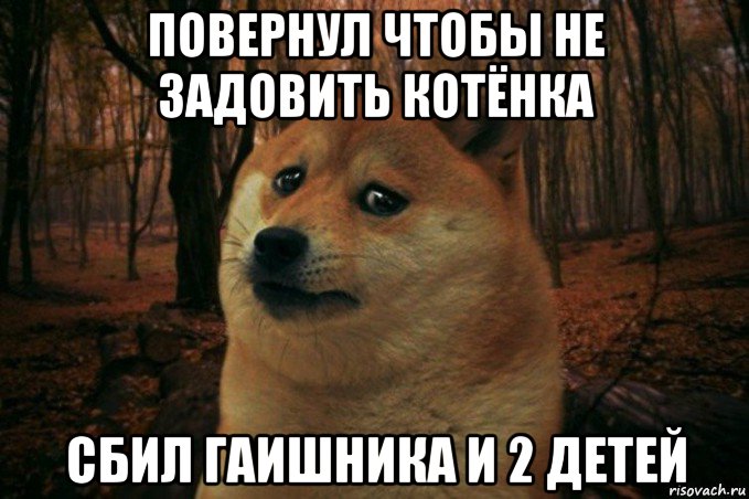 повернул чтобы не задовить котёнка сбил гаишника и 2 детей, Мем SAD DOGE