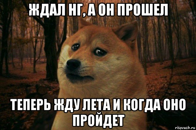 ждал нг, а он прошел теперь жду лета и когда оно пройдет, Мем SAD DOGE