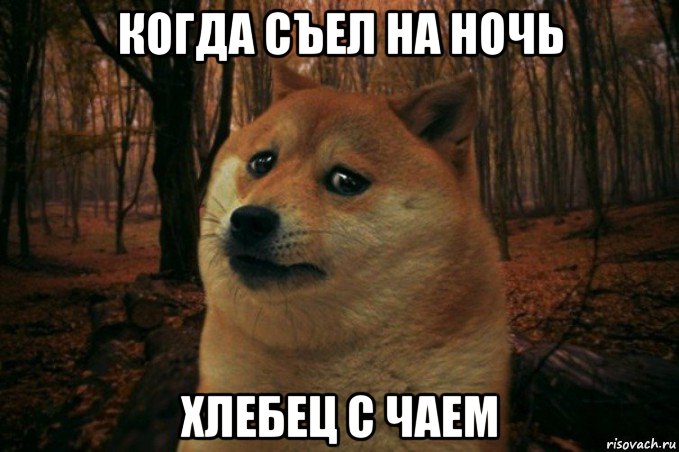 когда съел на ночь хлебец с чаем, Мем SAD DOGE