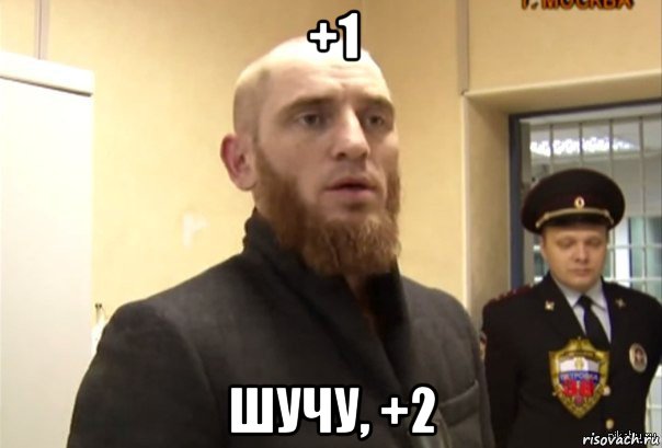 +1 шучу, +2, Мем Шучу