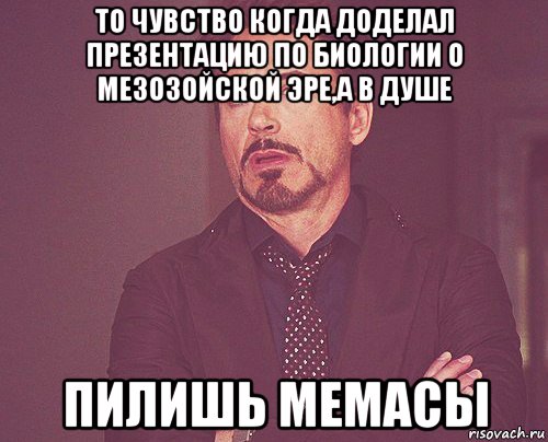 то чувство когда доделал презентацию по биологии о мезозойской эре,а в душе пилишь мемасы, Мем твое выражение лица