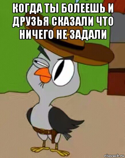 когда ты болеешь и друзья сказали что ничего не задали , Мем    Упоротая сова