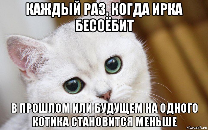 каждый раз, когда ирка бесоёбит в прошлом или будущем на одного котика становится меньше, Мем  В мире грустит один котик