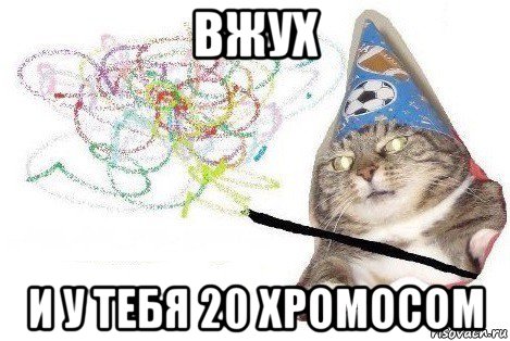 вжух и у тебя 20 хромосом, Мем Вжух мем