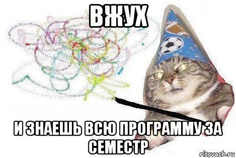 вжух и знаешь всю программу за семестр, Мем Вжух мем