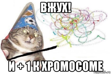 вжух! и + 1 к хромосоме, Мем Вжух