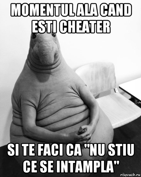 momentul ala cand esti cheater si te faci ca "nu stiu ce se intampla", Мем  Ждун