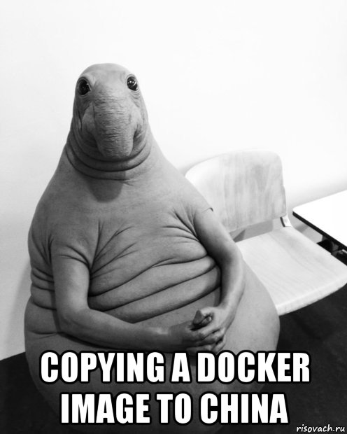  copying a docker image to china, Мем  Ждун