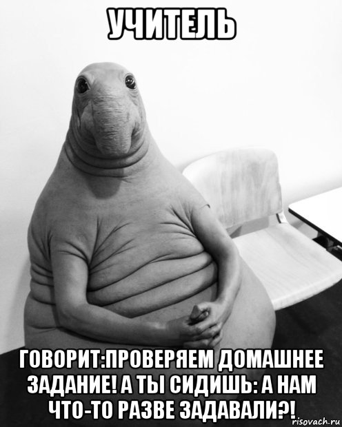 учитель говорит:проверяем домашнее задание! а ты сидишь: а нам что-то разве задавали?!, Мем  Ждун