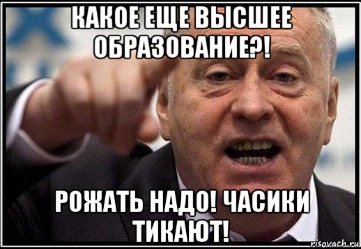 какое еще высшее образование?! рожать надо! часики тикают!, Мем жириновский ты