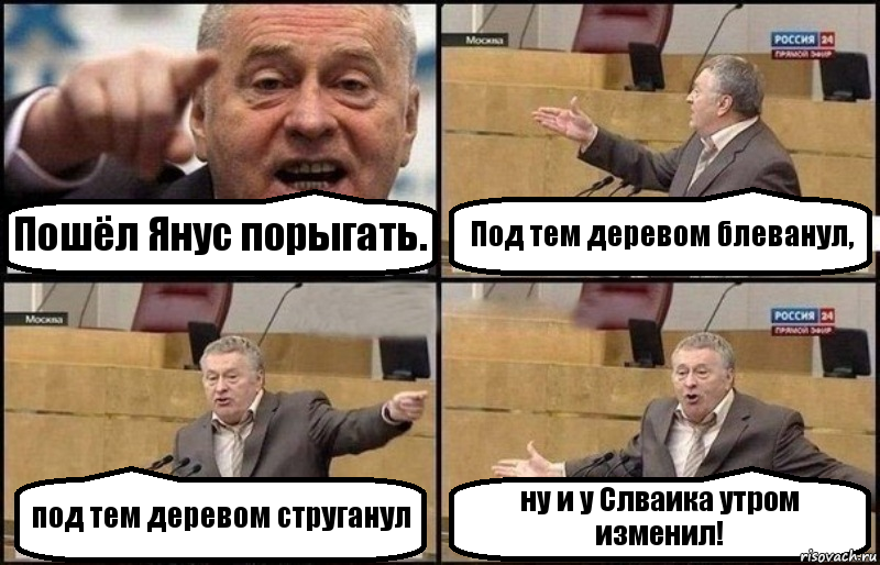 Пошёл Янус порыгать. Под тем деревом блеванул, под тем деревом струганул ну и у Слваика утром изменил!, Комикс Жириновский