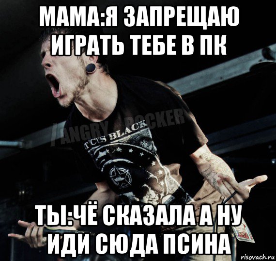 мама:я запрещаю играть тебе в пк ты:чё сказала а ну иди сюда псина, Мем Агрессивный Рокер