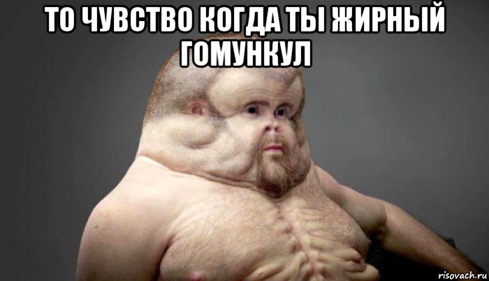 то чувство когда ты жирный гомункул 