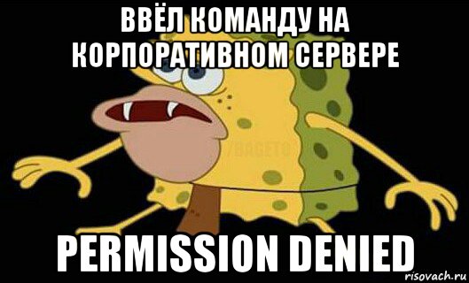 ввёл команду на корпоративном сервере permission denied