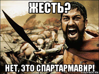 жесть? нет, это спартармавир!, Мем Это Спарта