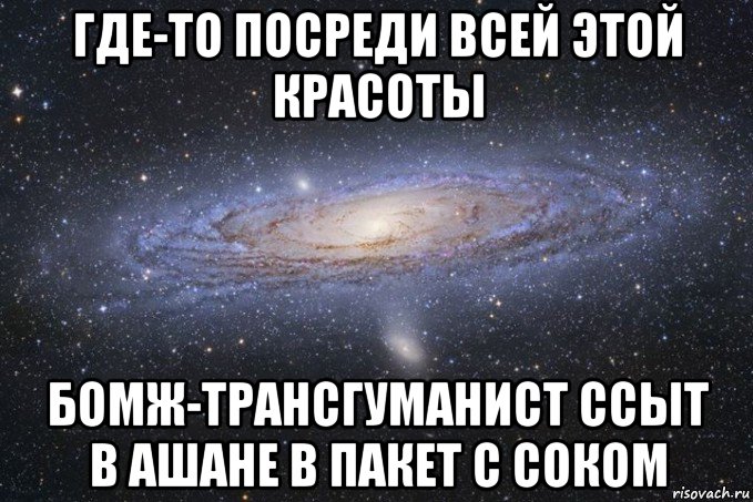 Песня мы умрем где то посреди. Где то посреди всей этой красоты бомж. Где то посреди всей этой красоты бомж ссыт в Ашане.