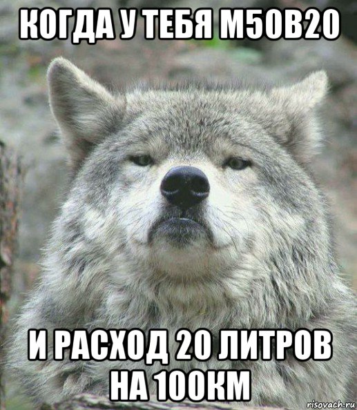 когда у тебя м50в20 и расход 20 литров на 100км, Мем    Гордый волк