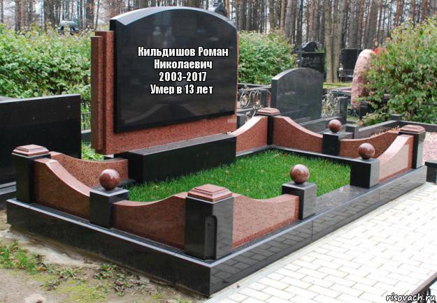 Кильдишов Роман Николаевич
2003-2017
Умер в 13 лет, Комикс  гроб