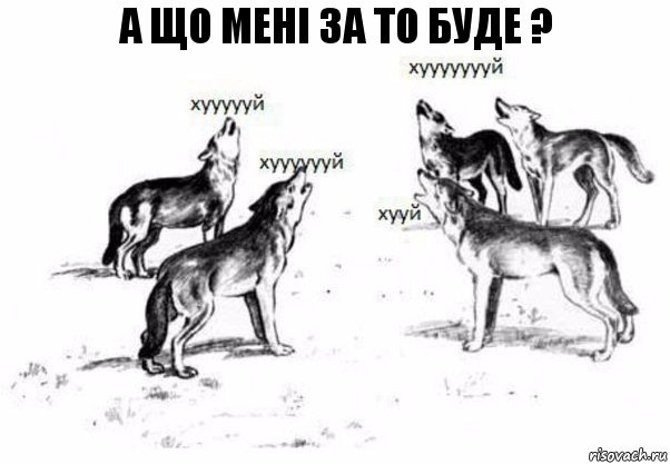 А ЩО МЕНІ ЗА ТО БУДЕ ?, Комикс Когда хочешь