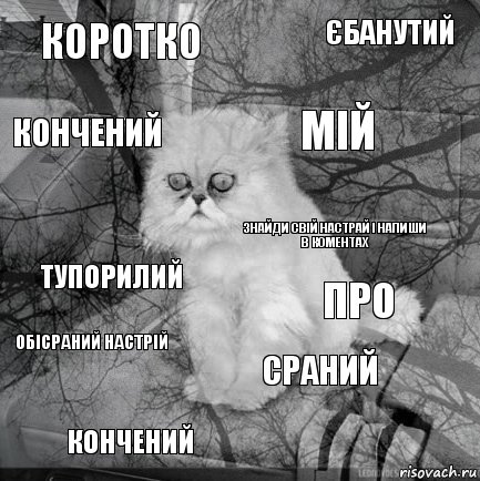 Коротко Про Мій Кончений Тупорилий Єбанутий Сраний Кончений Обісраний Настрій Знайди свій настрай і напиши в коментах, Комикс  кот безысходность