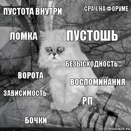 пустота внутри воспоминания пустошь бочки ворота срач на форуме рп ломка зависимость безысходность, Комикс  кот безысходность