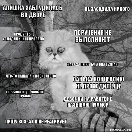 алишка заблудилась во дворе Санька концессию не проходил еще поручения не выполняют пишу SOS, а он не реагирует что-то нажала и всё исчезло не засудила никого девочки на работе не называют мамой продукты в холодильнике пропали не была нигде дальше крыма заказали рыбу, а она тухлая, Комикс  кот безысходность