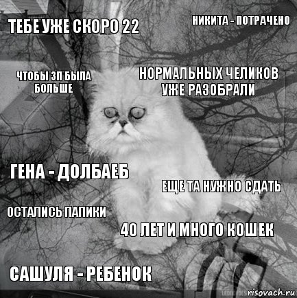 тебе уже скоро 22 еще ТА нужно сдать нормальных челиков уже разобрали сашуля - ребенок гена - долбаеб никита - потрачено 40 лет и много кошек чтобы зп была больше остались папики , Комикс  кот безысходность