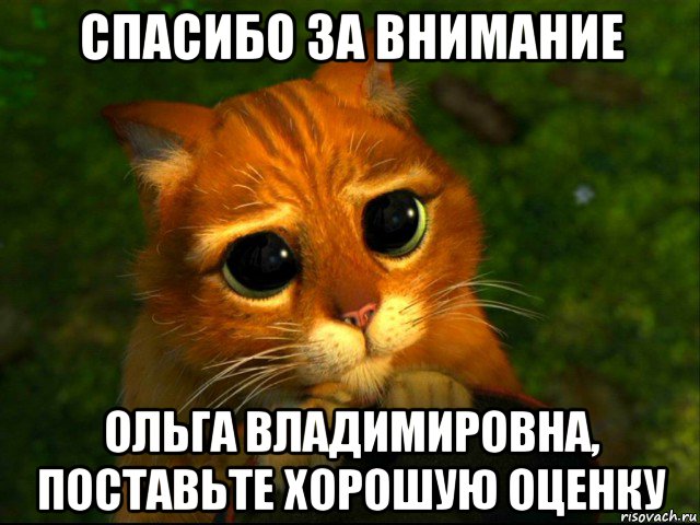 спасибо за внимание ольга владимировна, поставьте хорошую оценку, Мем кот из шрека