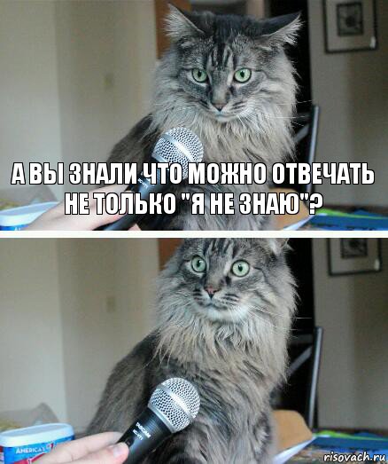 А вы знали что можно отвечать не только "я не знаю"? , Комикс  кот с микрофоном