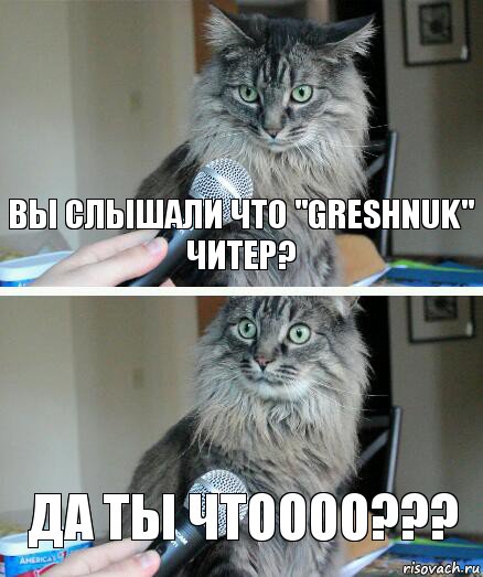 Вы слышали что "GreShNuk" читер? Да ты чтоооо???, Комикс  кот с микрофоном