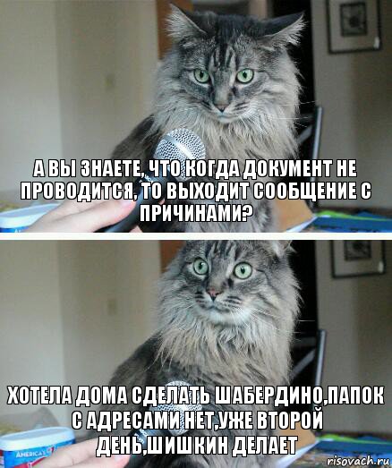 а вы знаете, что когда документ не проводится, то выходит сообщение с причинами? Хотела дома сделать Шабердино,папок с адресами нет,уже второй день,Шишкин делает, Комикс  кот с микрофоном