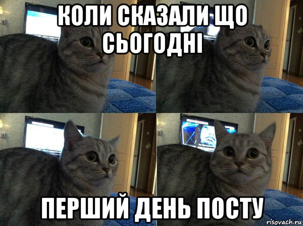 коли сказали що сьогодні перший день посту, Мем  Кот в шоке