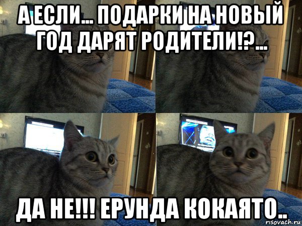 а если... подарки на новый год дарят родители!?... да не!!! ерунда кокаято.., Мем  Кот в шоке