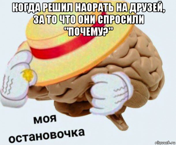 когда решил наорать на друзей, за то что они спросили "почему?" , Мем   Моя остановочка мозг