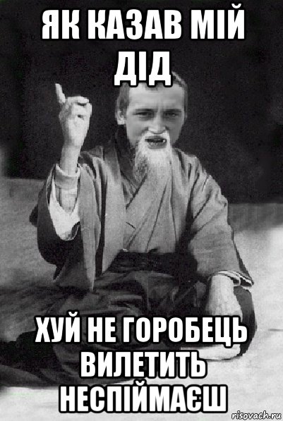 як казав мій дід хуй не горобець вилетить неспіймаєш, Мем Мудрий паца