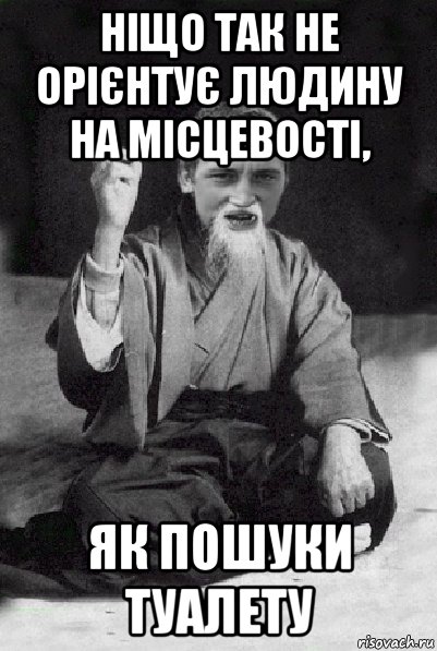 ніщо так не орієнтує людину на місцевості, як пошуки туалету, Мем Мудрий паца