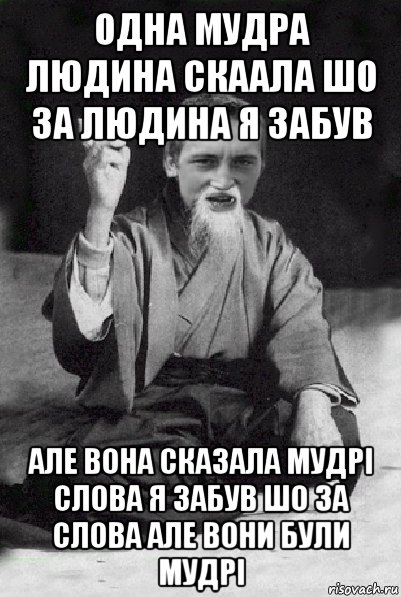 одна мудра людина скаала шо за людина я забув але вона сказала мудрі слова я забув шо за слова але вони були мудрі, Мем Мудрий паца