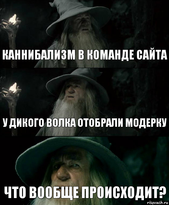 Каннибализм в команде сайта У дикого волка отобрали модерку Что вообще происходит?, Комикс Гендальф заблудился