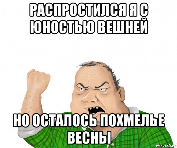 распростился я с юностью вешней но осталось похмелье весны, Мем мужик