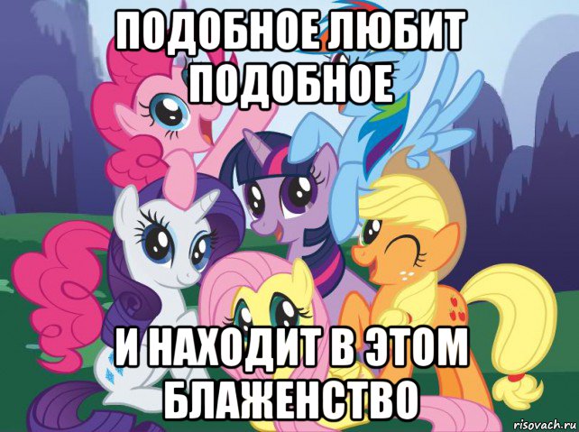 подобное любит подобное и находит в этом блаженство, Мем My little pony