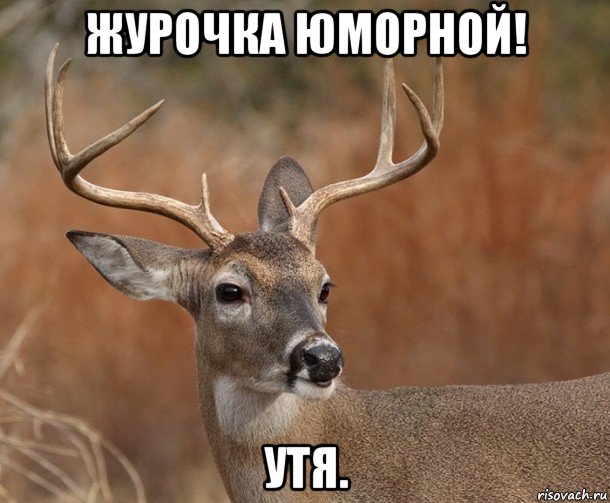 журочка юморной! утя., Мем  Наивный Олень v2